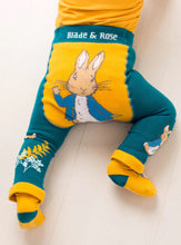 Load image into Gallery viewer, Peter Rabbit Woodland  Leggings - Blade and Rose